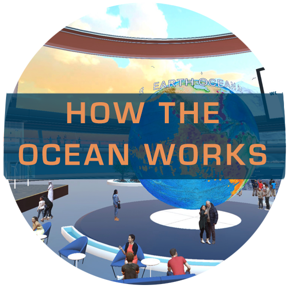 How The Ocean Works